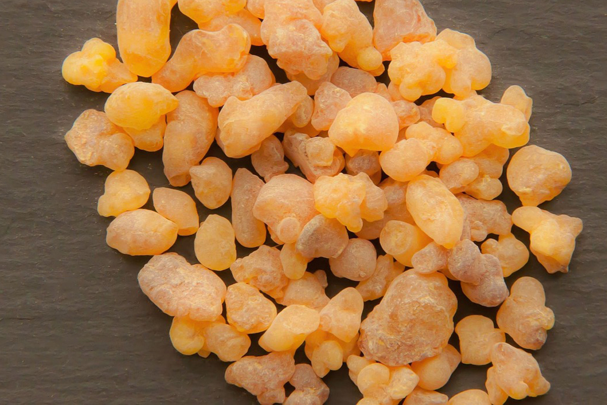 Λιβάνι! Ανακάλυψε τις απίστευτες ιδιότητές του!