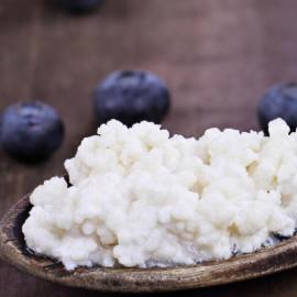 Προβιοτικά & Πρεβιοτικά