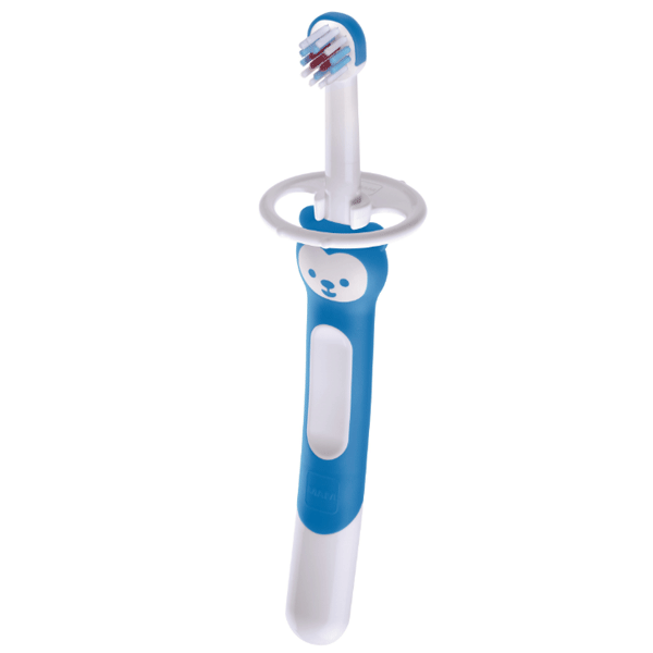 Mam Training Brush Εκπαιδευτική Οδοντόβουρτσα με Ασπίδα Προστασίας και Λαβή Αρκουδάκι Χρώμα:Μπλέ 1 Τεμάχιο [605]