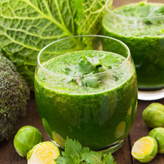 Χορτοφάγοι