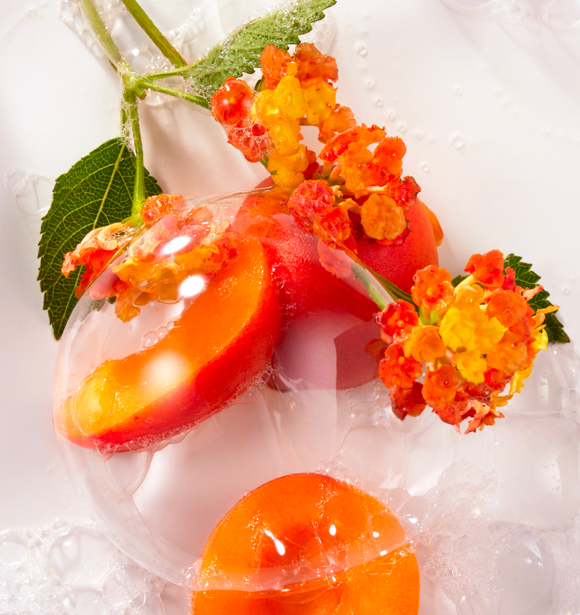 Fleur d' Osmanthus