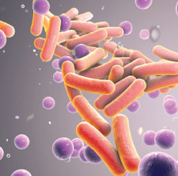 Προβιοτικά