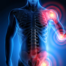 Οστά - Δόντια