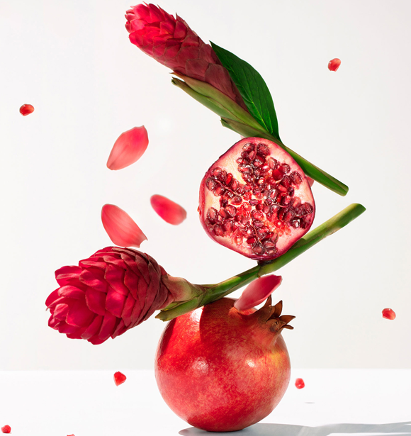 Gingembre Rouge