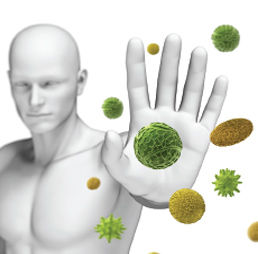 Ανοσοποιητικό