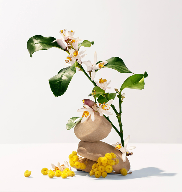 Neroli