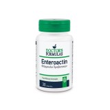Doctors Formulas Doctors Formulas