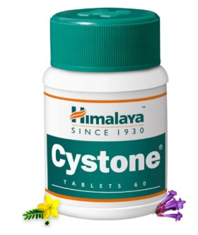 Himalaya Cystone Συμπλήρωμα Διατροφής για το Ουροποιητικό Σύστημα 60 Ταμπλέτες