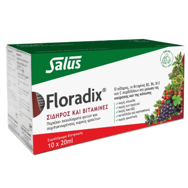 Power Health Floradix Σίδηρος & Βιταμίνες 10 Φιαλίδια x 20ml Power Health Floradix Σίδηρος & Βιταμίνες 10 Φιαλίδια x 20ml