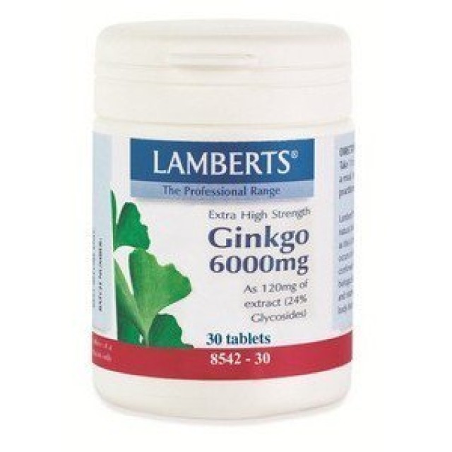Lamberts Ginkgo Biloba Extract 6000mg, Ενίσχυση Μνήμης & Συγκέντρωσης, …