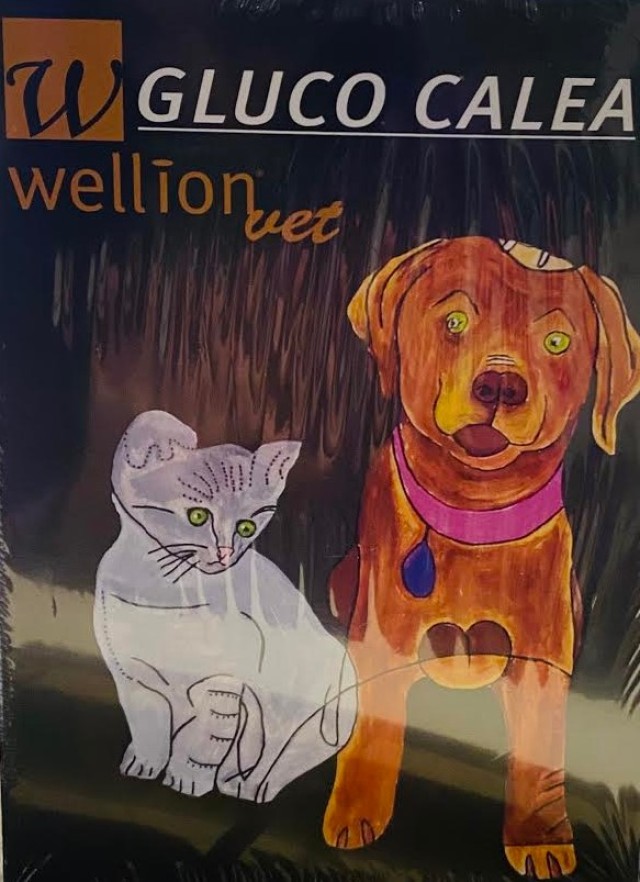 Wellion Gluco Calea Μετρητής Σακχάρου για Ζώα 1 Τεμάχιο Wellion Gluco Calea Μετρητής Σακχάρου για Ζώα 1 Τεμάχιο