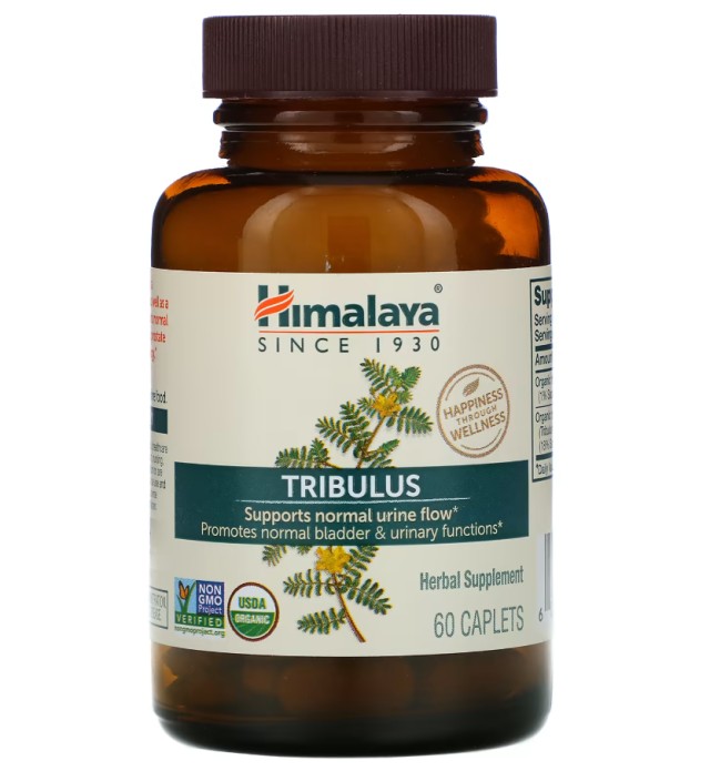 Himalaya Tribulus Συμπλήρωμα Διατροφής για το Ουροποιητικό Σύστημα 60 Κάψουλες