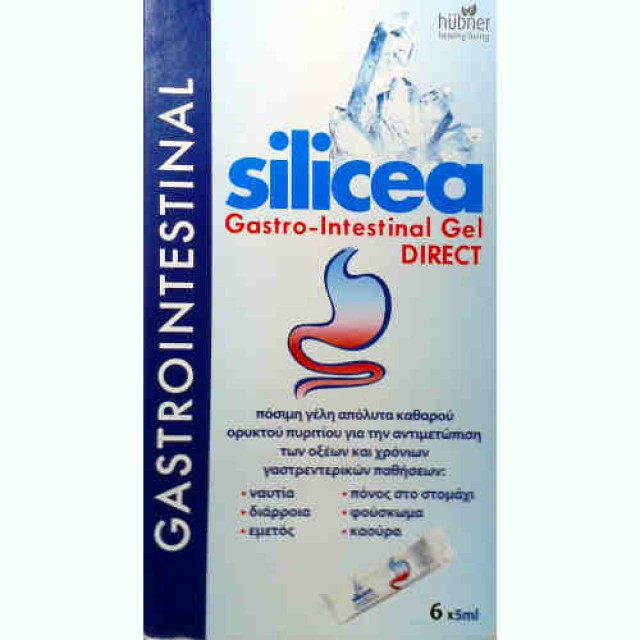 Hubner Silicea Gastrointestinal Gel DIRECT 6x15ml