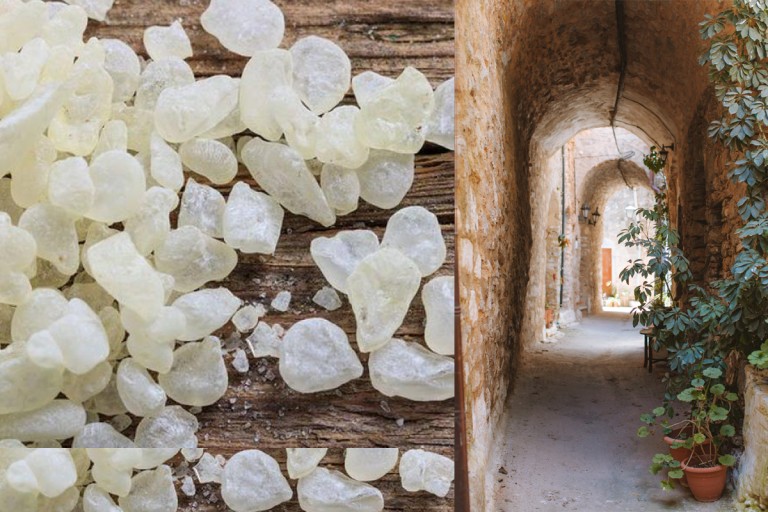 Μαστίχα Χίου: Το ανεκτίμητο ελληνικό δάκρυ!