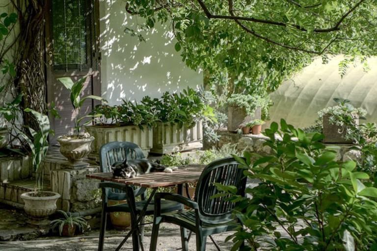 Η Νο 1 αιτία που φέρνει κουνούπια στην… αυλή σας!