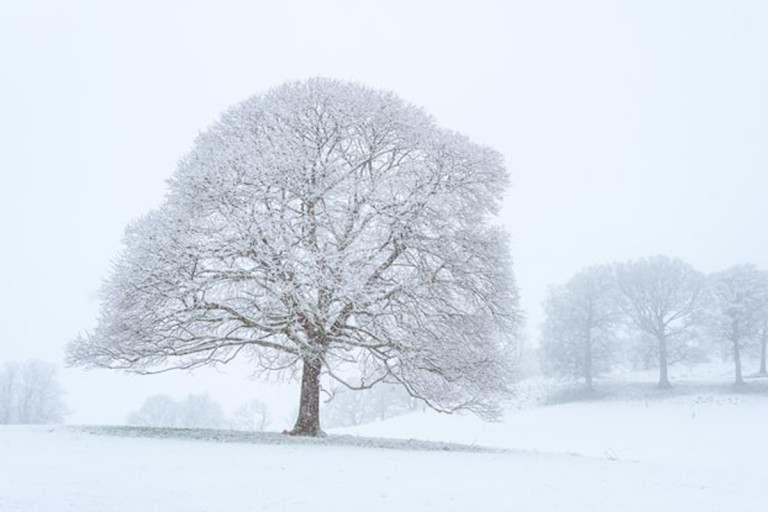 6 λόγοι για να λατρέψεις τον χειμώνα!