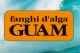 GUAM