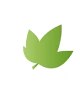 Tilman